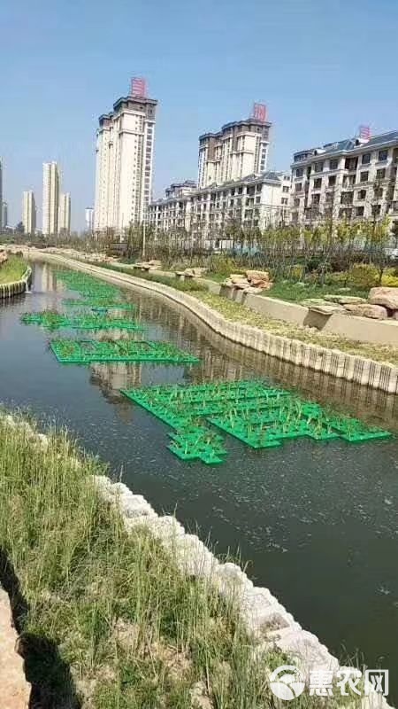 绿色废物压缩机——开启环保未来的关键之选